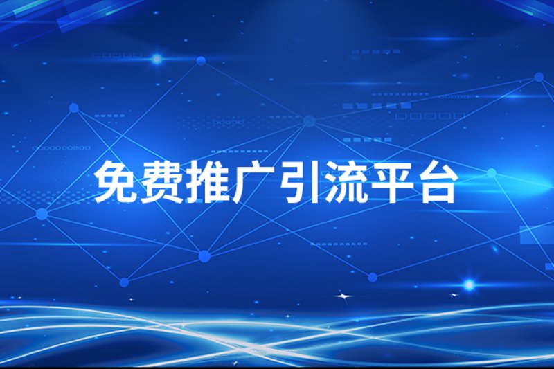 网站优化:构建高效信息传递桥梁